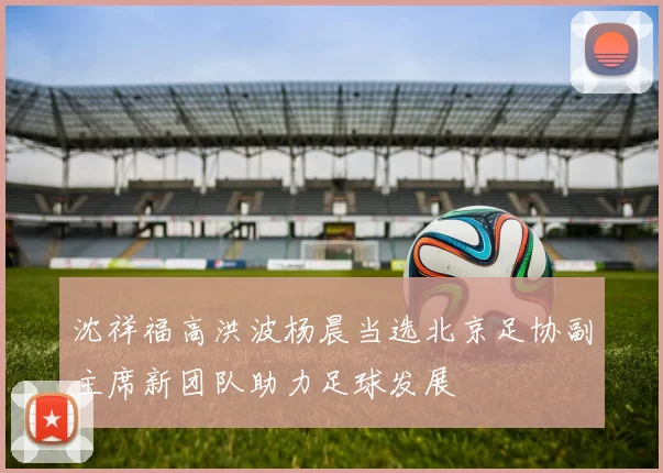 沈祥福高洪波杨晨当选北京足协副主席新团队助力足球发展