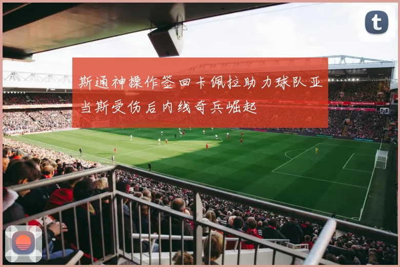 斯通神操作签回卡佩拉助力球队亚当斯受伤后内线奇兵崛起