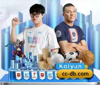 DB体育 APP